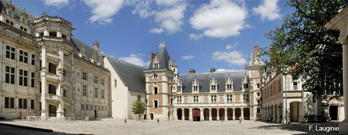 monuments et châteaux de la Loire ouverts tous les jours de l'année château de Blois