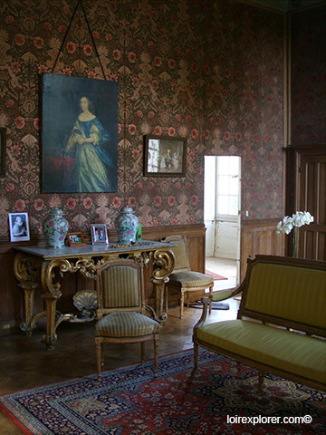 visite du Château de Selles salon avec LoireXplorer