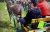 Foire aux ânes Poulaines Indre Berry avec LoireXplorer concours d'attelage