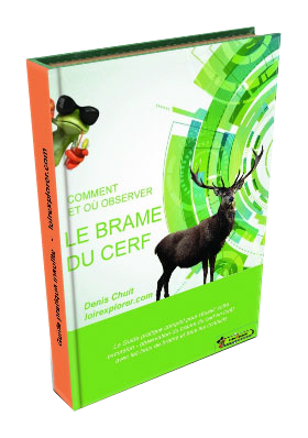 Guide pratique comment et où observer le brame en Sologne et Région Centre LoireXplorer