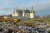 où trouver la alamandre tachetée devant le Château de Chambord