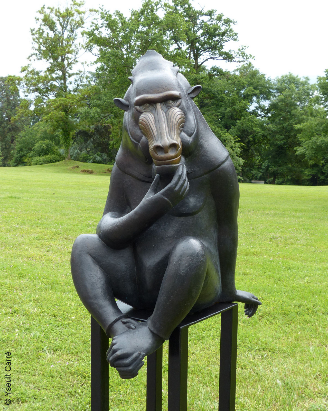 Sage Mandrill - sculpture de Florence Jacquesson - ANIMAL - Exposition de sculpture animalière monumentale contemporaine à Briare - photo copyright Yseult Carré