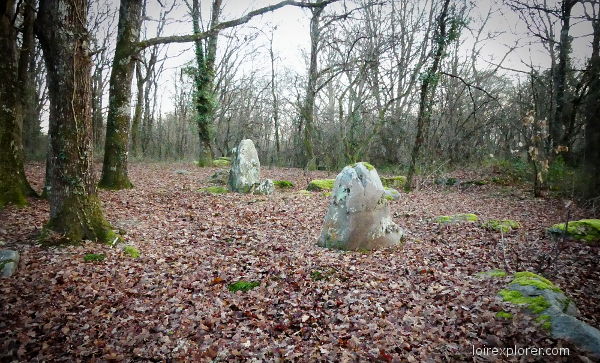 Menhirs de Tréfoux Bagneux mégalithe dolmen néolithique préhistoire région Centre Indre