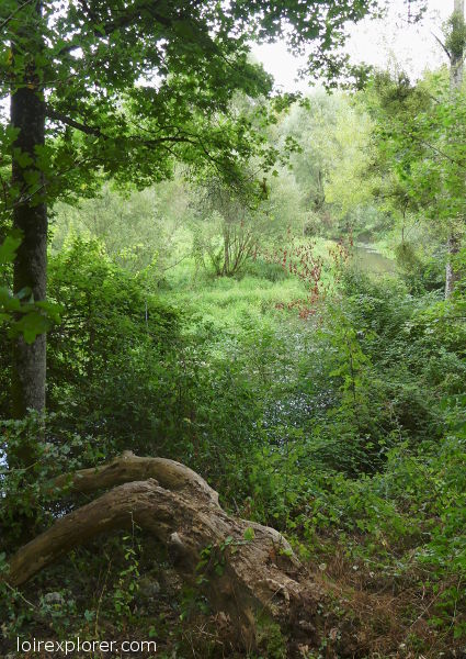 Réserve naturelle de Grand Pierre et Vitain mégalithe dolmen menhir tombe néolithique préhistoire région Centre Loir et Cher