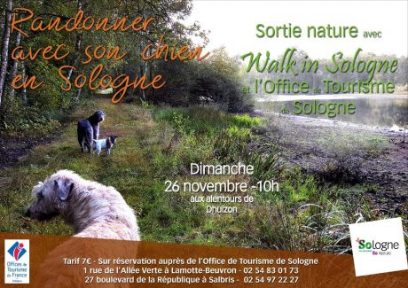 Randonner avec son chien en Sologne avec l'office de tourisme de Sologne bureaux de Salbris et Lamotte et Walk in Sologne