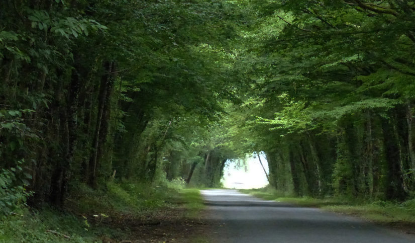 Sur une route de Sologne avec Marie du Berry « un jour avec » Le Grand Meaulnes - crédit photo copyright yseult-carre.com