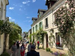 Vivez le Festival des Roses de Chédigny, l’enchantement de mai